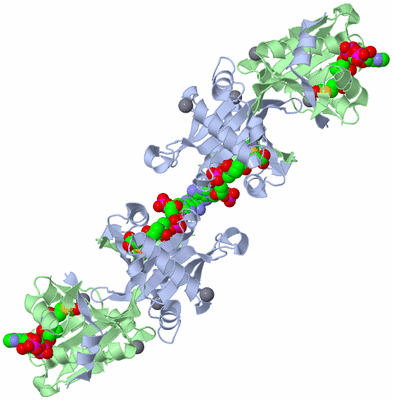 Image Biological Unit 2