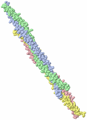 Image Asymmetric Unit