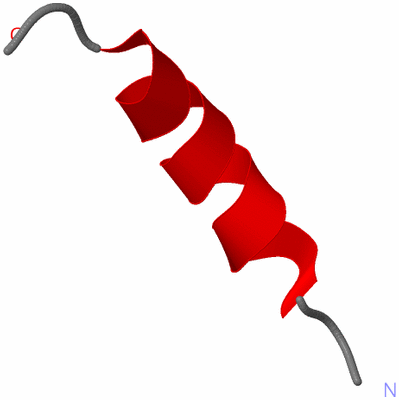 Image NMR Structure - model 1