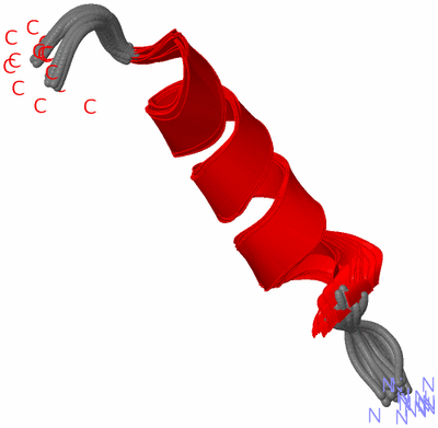 Image NMR Structure - all models