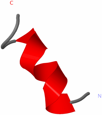 Image NMR Structure - model 1