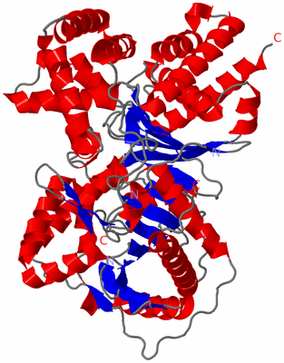 Image Asym./Biol. Unit