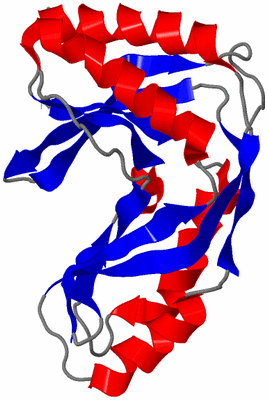 Image NMR Structure - model 1