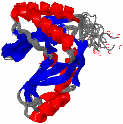 Image NMR Structure - all models