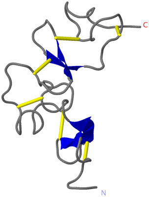 Image NMR Structure - model 1