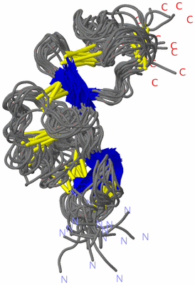 Image NMR Structure - all models