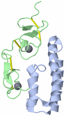 Image NMR Structure - model 1