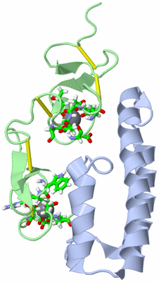 Image NMR Structure - model 1, sites