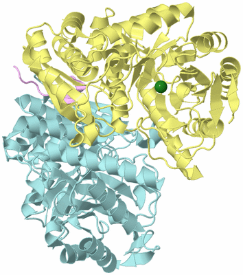 Image Biological Unit 2