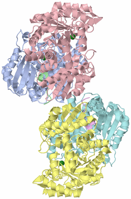 Image Biological Unit 3