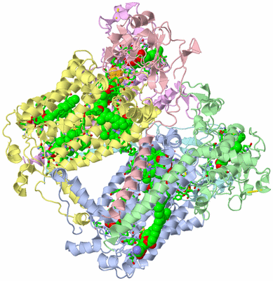 Image Biol. Unit 1 - sites