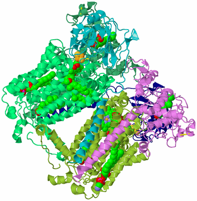 Image Biological Unit 3