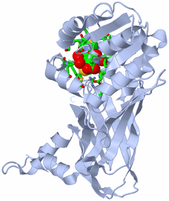 Image Biol. Unit 1 - sites