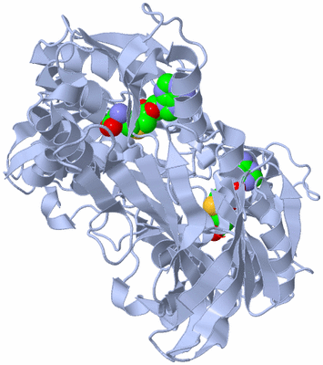 Image Biological Unit 2