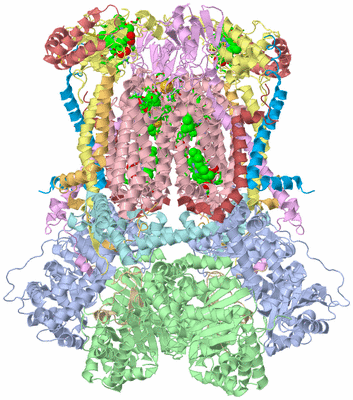 Image Biol. Unit 1 - sites