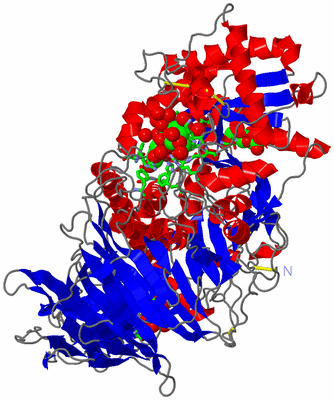 Image Asym./Biol. Unit - sites