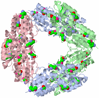 Image Biological Unit 1