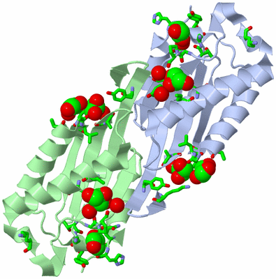 Image Asym./Biol. Unit - sites