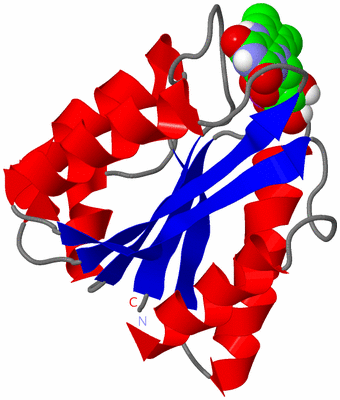 Image NMR Structure - model 1