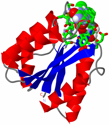 Image NMR Structure - model 1, sites