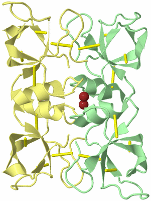 Image Biological Unit 11