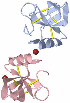 Image Biological Unit 12