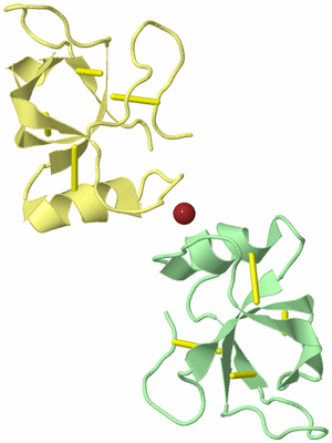 Image Biological Unit 14