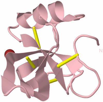 Image Biological Unit 3