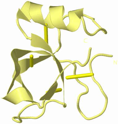 Image Biological Unit 4