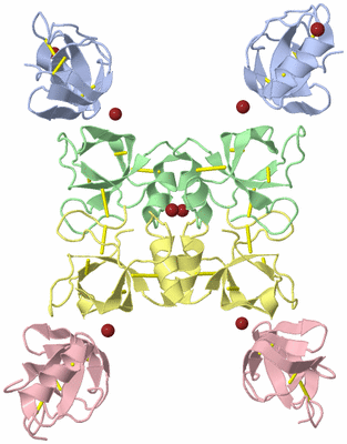 Image Biological Unit 5