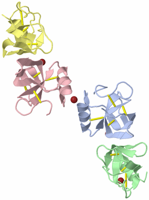 Image Biological Unit 6