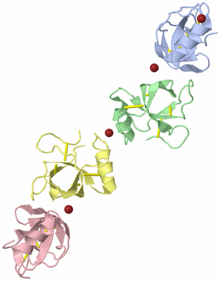 Image Biological Unit 7