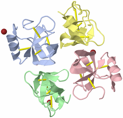 Image Biological Unit 8