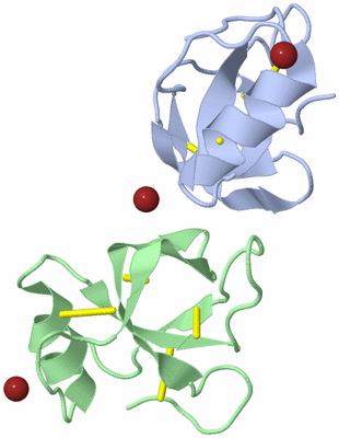 Image Biological Unit 9