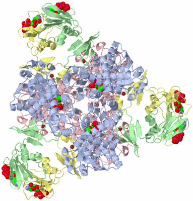 Image Biological Unit 1