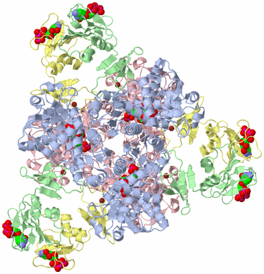 Image Biological Unit 1