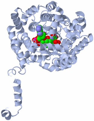 Image Biological Unit 1