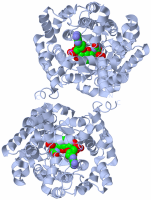 Image Biological Unit 2