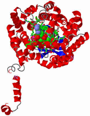 Image Asym. Unit - sites