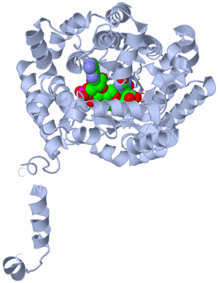 Image Biological Unit 1