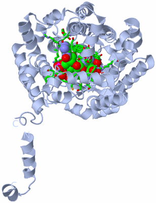 Image Biol. Unit 1 - sites