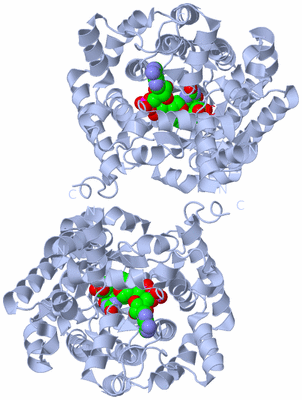 Image Biological Unit 2