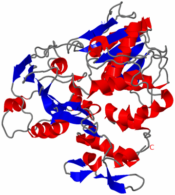 Image Theoretical Model