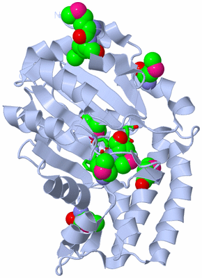 Image Biol. Unit 1 - sites