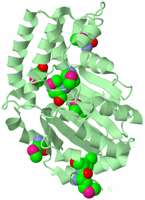 Image Biological Unit 2