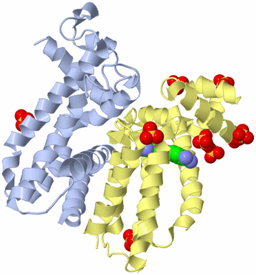 Image Biological Unit 1