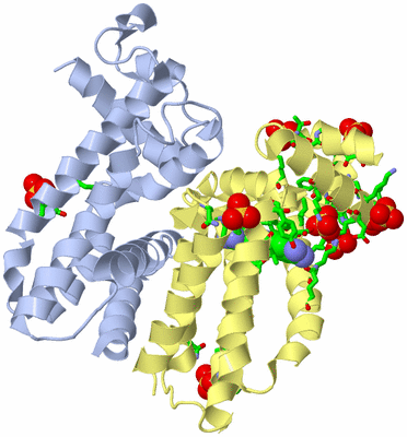 Image Biol. Unit 1 - sites