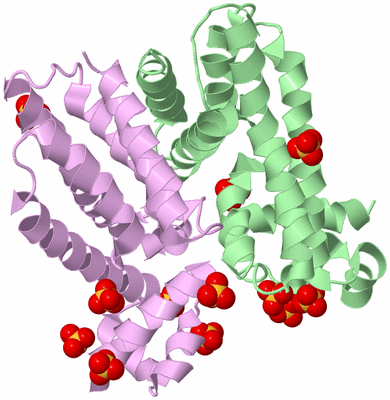 Image Biological Unit 2