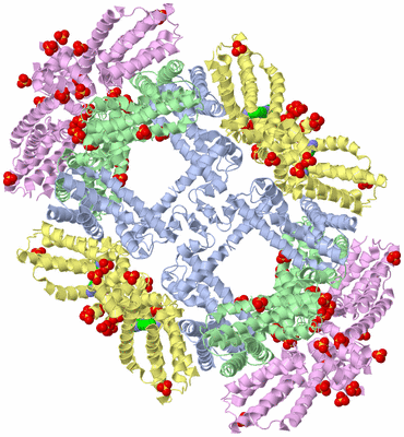 Image Biological Unit 3