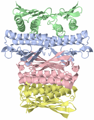 Image Biological Unit 3